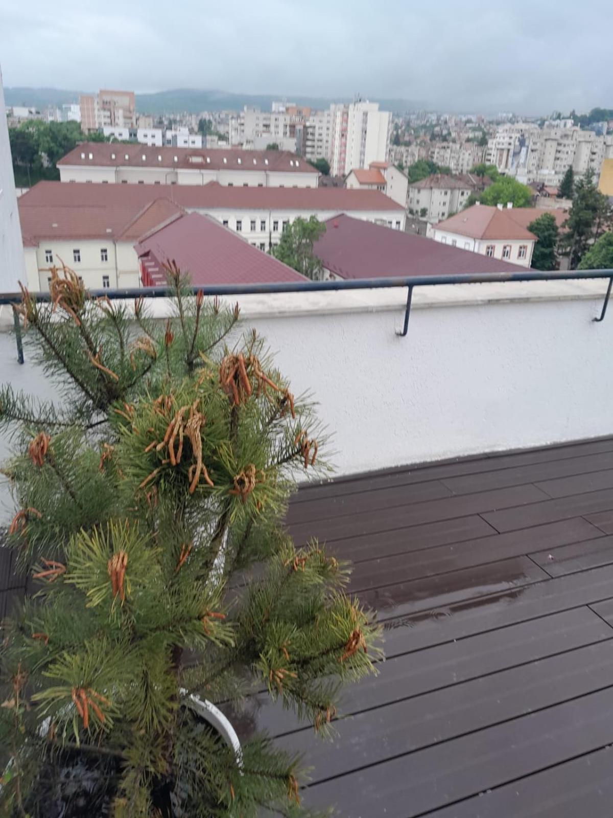 클루지나포카 Cristinco Panoramic 아파트 외부 사진